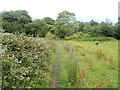 Track from Pont-y-felin Road to Lower New Inn, Pontypool