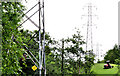 Pylons and power lines, Dunmurry (2)