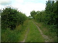 West Common Lane (track)