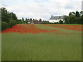 Farmland near Hensall