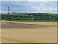 Arable land at the edge of Castleford