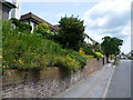 Looking up Cross Lane East