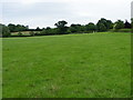 Grass field near Leigh