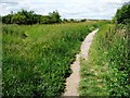 Well-used path off Orchard Head Lane