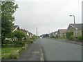 Wynford Way - viewed from Belmont Crescent