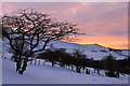 SE0004 : January sunset by Michael Fox