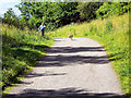 NZ1961 : Derwent Walk Country Park and Derwenthaugh Park by David Dixon