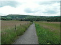 Path leading to Dinting Vale from Hadfield