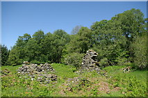 NN6236 : Ruin & woodland east of Edramucky by Leslie Barrie