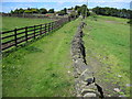 Footpath to Wolfstones Heights Farm