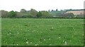 Parrett flood plain