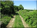 Looking west along The Old Coach Road