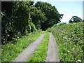 Summer Lane on a hot day