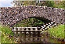NS3269 : Burnbank Bridge by wfmillar
