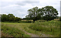 2011 : Field track near Lydegreen Bridge