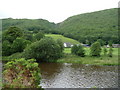 View across the Afon Rheidol towards Glyn-Rheidol