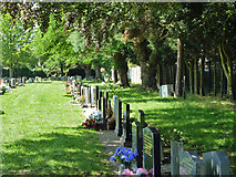 TQ6372 : A corner of Gravesend cemetery by Robin Webster