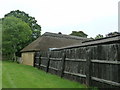 Hedgehog detail on thatched roof