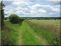 Footpath off Amage Road