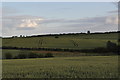 Fields along Wold Road