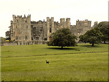 NZ1321 : Raby Castle and Grounds by David Dixon