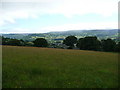 Field beside the footpath near Crickhowell