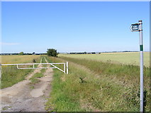 TL2967 : Footpath to Gore Tree Road by Geographer