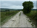 Farm track and bridleway to Longfurlong Farm