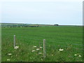 Farmland, Wilks Rigg