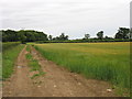 ST8482 : Field and farm track near Alderton by David Purchase