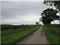 The lane to Foxley