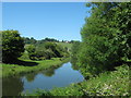 River Tillingham near Rolvendene Farm