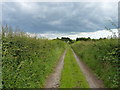 Along the Staffordshire Way near Trescott