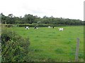 Copney Townland