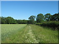 Footpath to Houghton Wood