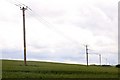 Poles across the field