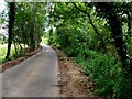 Country road, Derrycor