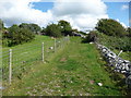 Footpath out of Dyffryn Ardudwy