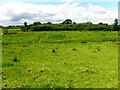 Cloncarrish Townland