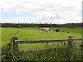 Ballynarry Townland