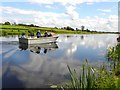 Reflections on the Bann