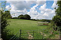 Field near Lime tree Cottage