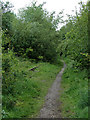 Disused railway north of Bucknall, Stoke-on-Trent