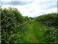 Godshill, footpath