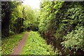 Towpath alongside the Wilts & Berks Canal