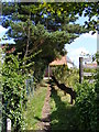 Footpath to Carlton Road