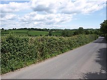 SX8166 : Minor road from Ipplepen to Broadhempston, near Simpson Farm by David Gearing