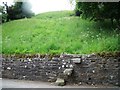 Grassy footpath up the Lady Hill