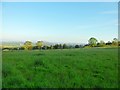 Field west of Muirhead Farm