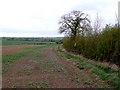 Hedgerow near the Fosse Way